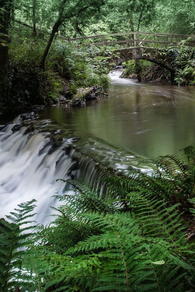 Nice walks in Co. Cavan