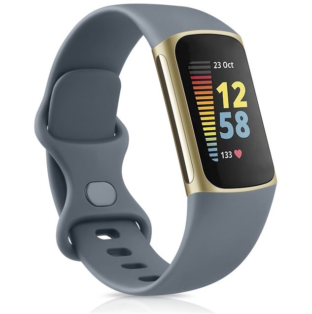 Fitbit Charge 5 strap grey