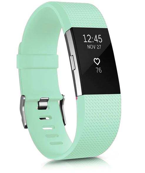 fitbit charge 2 bands